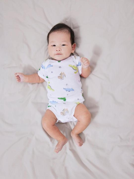 Produktbild Name it Kurzarm-Body Dino 2er Set Gr. 68 (68)