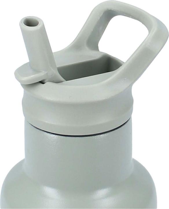 Actual product image Kidzroom Trinkflasche Sweet Sips Dino, 350ml (0.35 l)