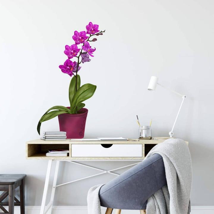 Produktbild Trenddeko Orchidee im Topf (70 x 41 cm)
