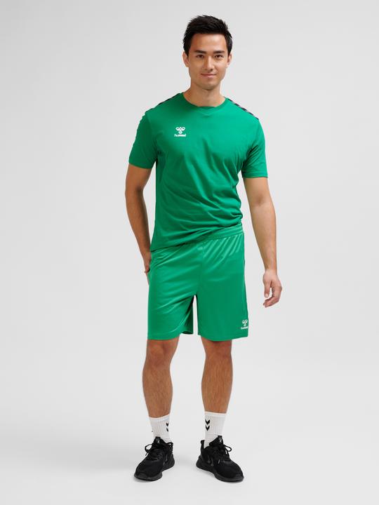 Actual product image hummel Hmlauthentic Pl Shorts (XL)