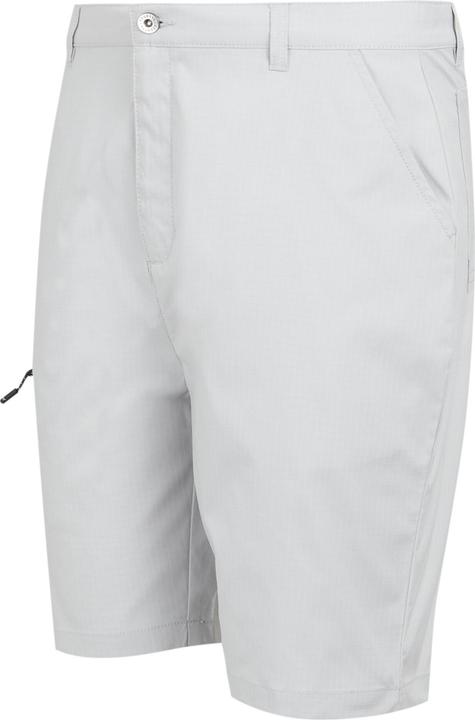 Actual product image Regatta Mens Dalry Multi Pocket Shorts (32)