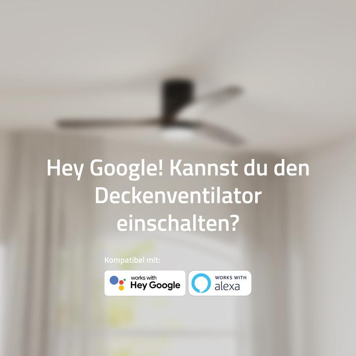Actual product image Hombli Deckenventilator mit Licht (43 dB)
