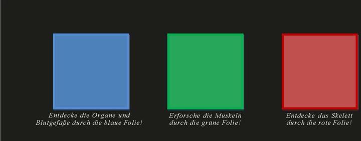 Produktbild Der menschliche Körper (Deutsch, Kate Davies, 2017)