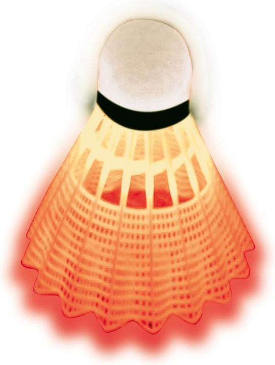 Actual product image Talbot Torro Magic Night