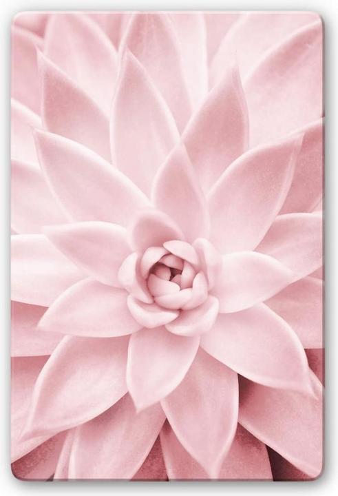Produktbild Trenddeko Rosa Sukkulente (40 x 60 cm)