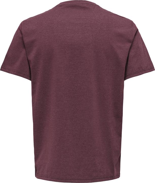 Produktbild Only & Sons Onsmax Life Ss Stitch Tee Noos (M)