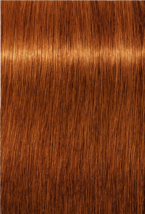Actual product image Schwarzkopf Professional Igora Color10 Hair Color (7-7)