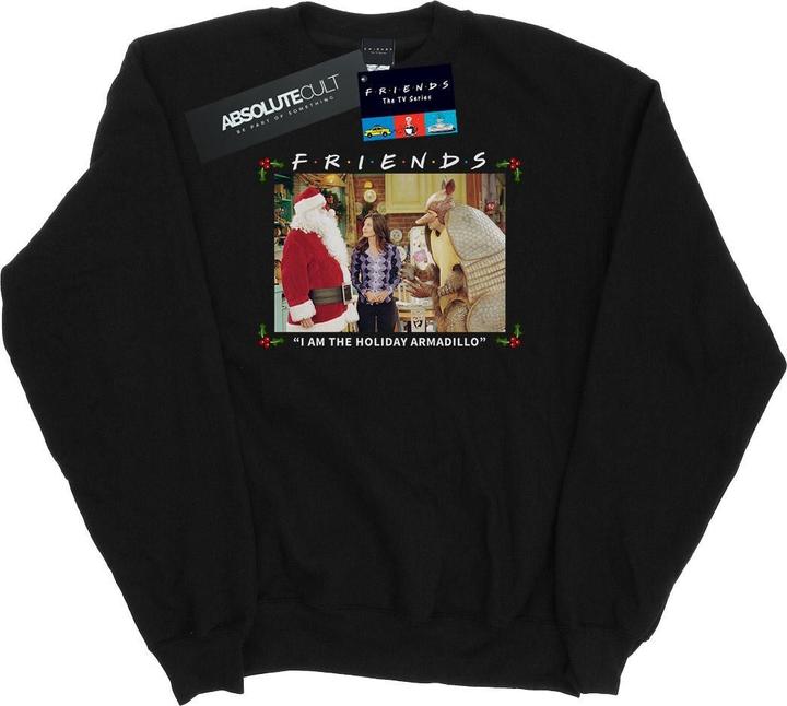 Friends I Am The Holiday Armadillo Sweatshirt (XL)