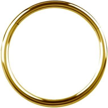 Immagine prodotto Studex Nasenschmuck (Titanio)