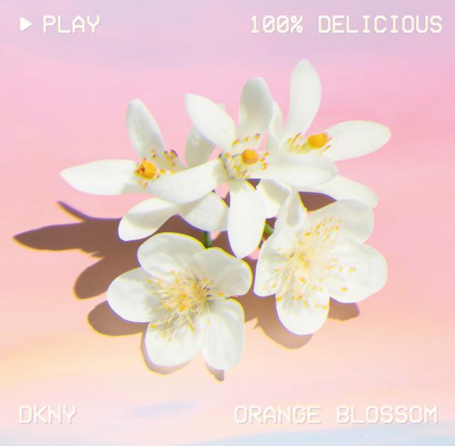 Produktbild DKNY Be 100 % Delicious (Eau de Parfum, 30 ml)