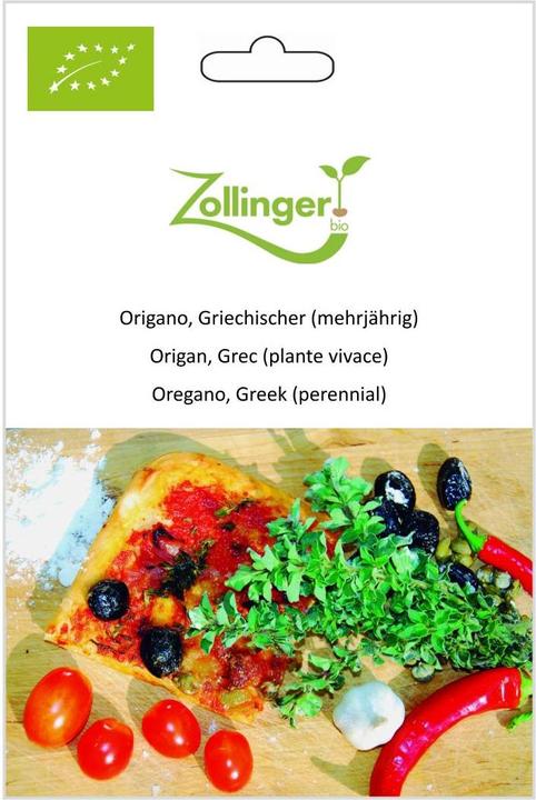 Zollinger Bio Origano, Greco (perenne) (Germogli)