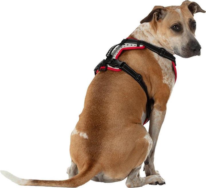 Produktbild Nathan K9 Reflective Dog Harness (M, Hund, Allgemein)