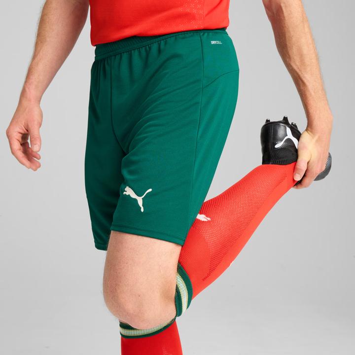 Actual product image Puma FPF Shorts Replica (L)