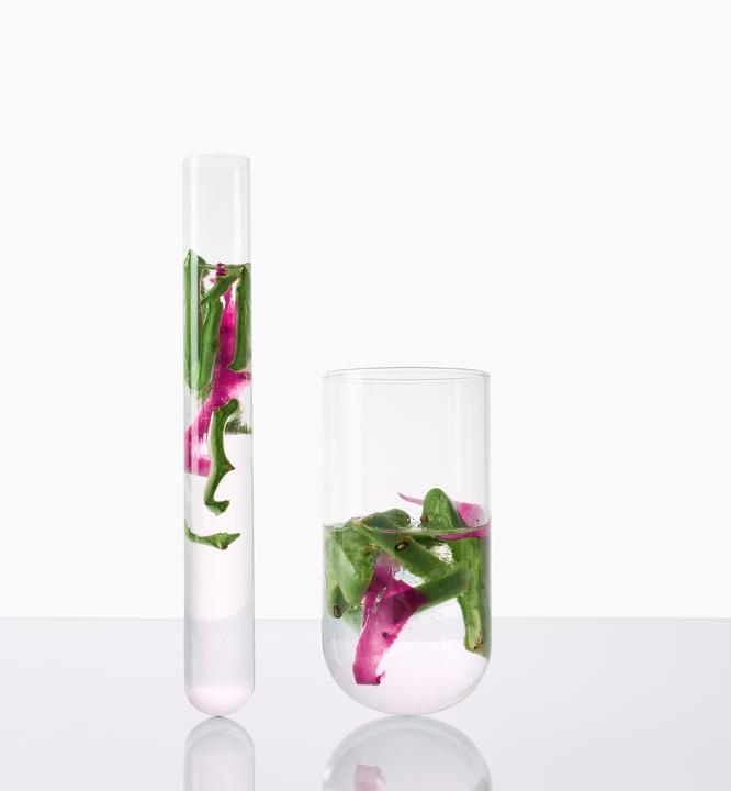 Actual product image Klorane Prickly pear (200 ml, Liquid shampoo)