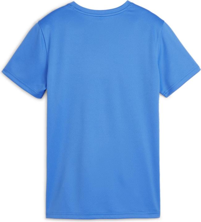 Image du produit Puma teamGOAL Jersey Wmn (M)