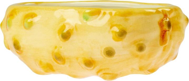Actual product image EBI Duvo+ food bowl Stone Happy Dog (1 l)