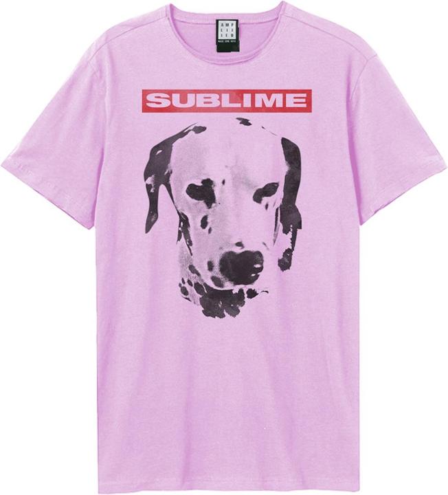 Amplified What I Want Dalmation TShirt (XXL)