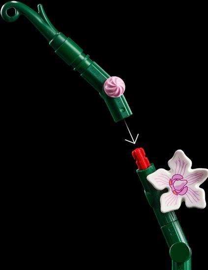 Productafbeelding LEGO Orchidee (10311, LEGO Botanisch)