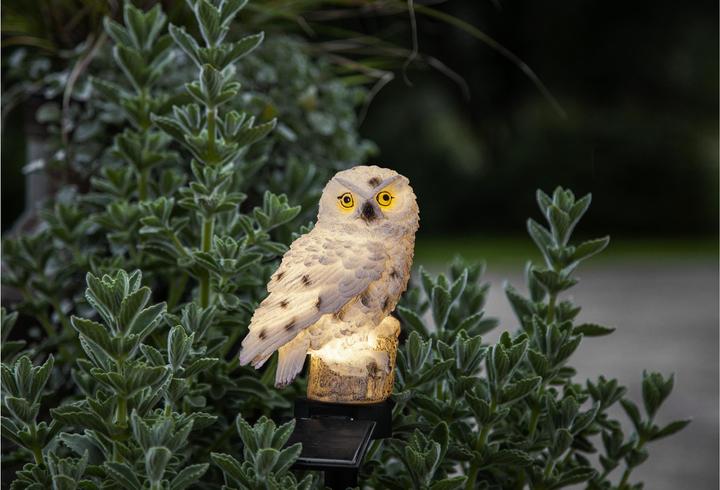 Actual product image Star Trading Owl (IP44)