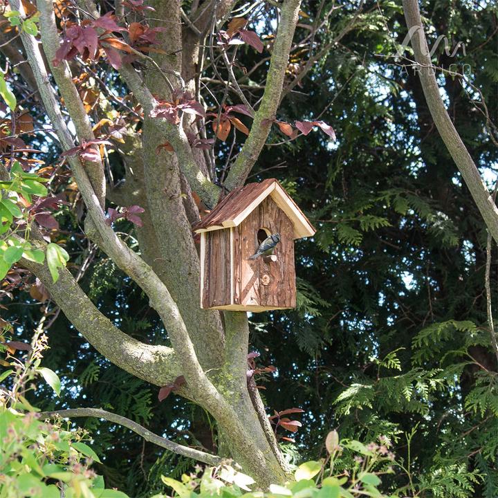 Image du produit Gardigo Nichoir et mangeoire à oiseaux avec perchoir pour pinsons et mésanges