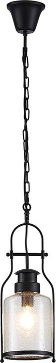 Produktbild Lindby Rozalie Pendelleuchte Clear/Black (E27)
