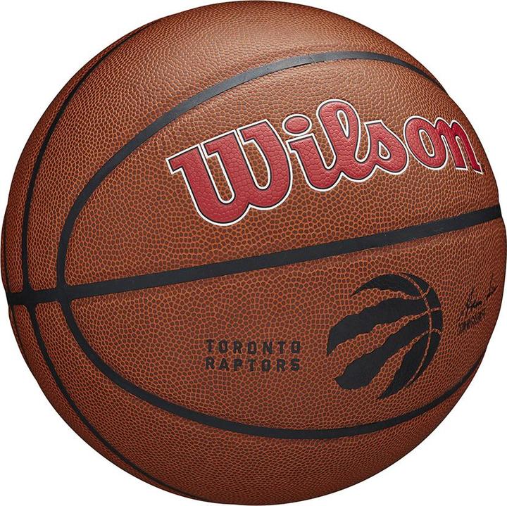 Actual product image Wilson Nba Team Alliance Basketball Goal Raptors (7)