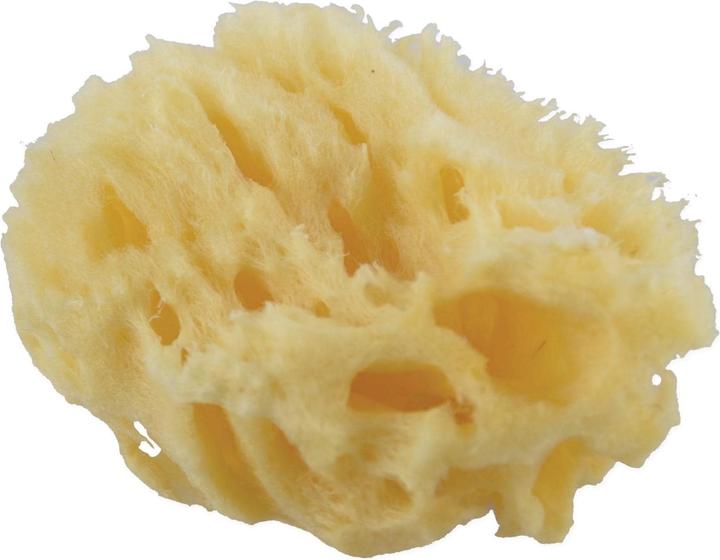 Actual product image Frina Natural sponge