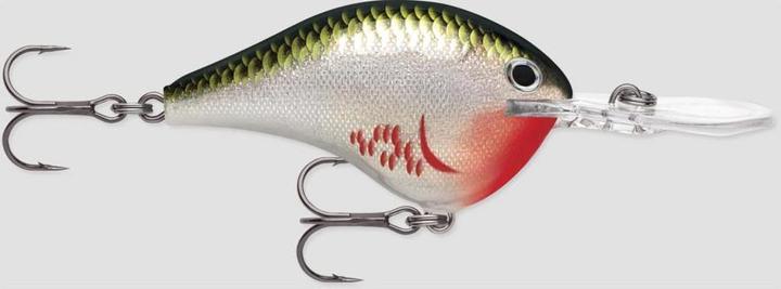 Actual product image Rapala DT (DIVES-TO) SERIES (7 cm)