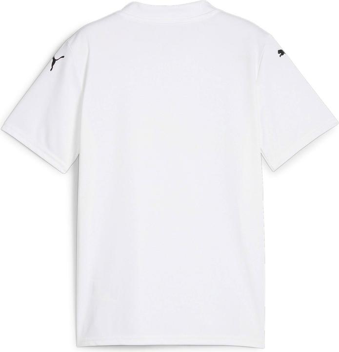 Produktbild Puma teamGLORY Jersey Jr (164)