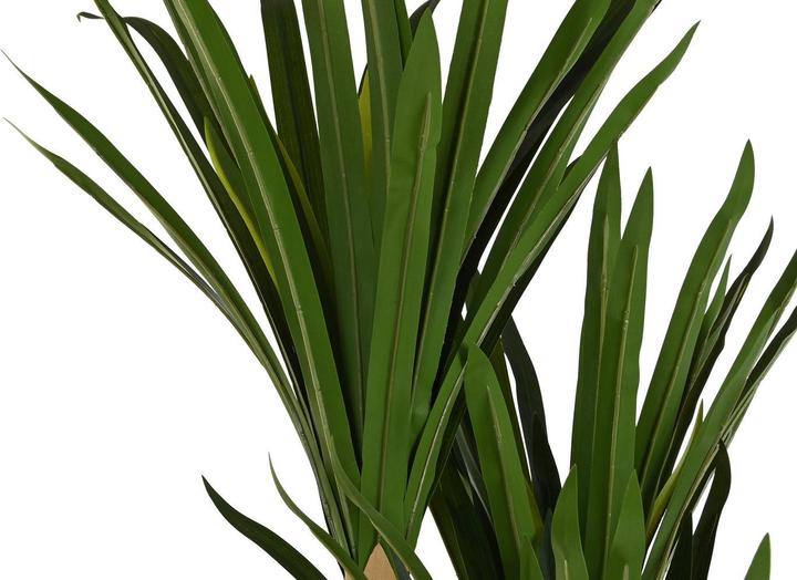 Actual product image DKD Home Decor Decorative Plant (80 x 80 x 180 cm) (180 cm)