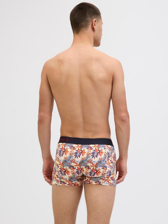 Immagine prodotto Jack & Jones 10er-pack Trunks Trunks (XL, confezione da 10)