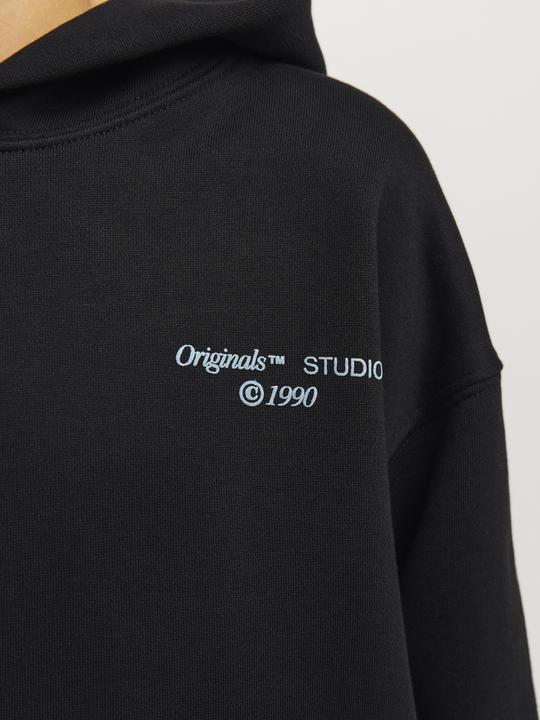 Image du produit Jack & Jones Jornoho Back Graphic Sweat Hood Mni (116)
