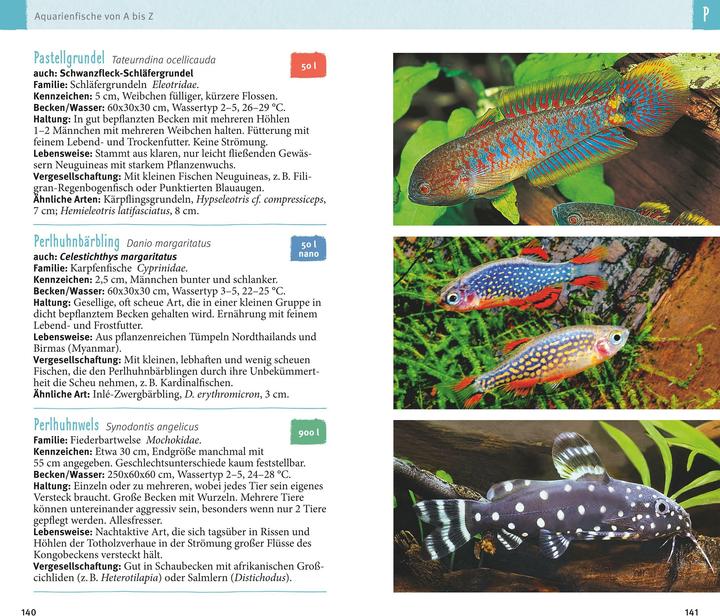 Produktbild Aquarienfische von A bis Z (Deutsch, Ulrich Schliewen, 2017)