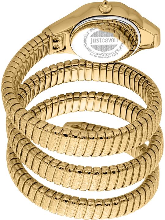 Image du produit Just Cavalli Ravenna (Montre analogique, 22 mm)