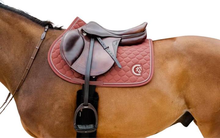 Kentucky Horsewear Onion Quilt