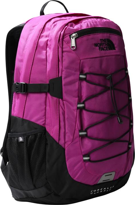 North Face Borealis Classic (29 l)