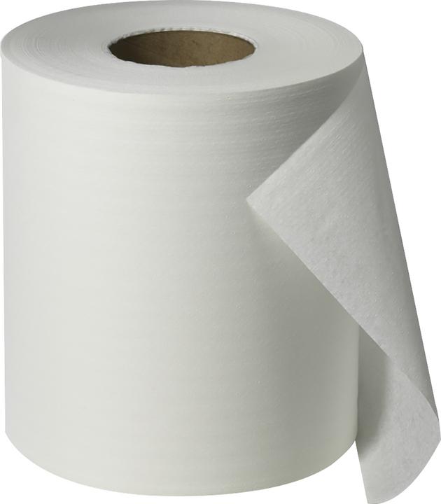 Immagine prodotto Oeco Swiss Carta per la pulizia a 2 veli 6 rotoli (6 x)