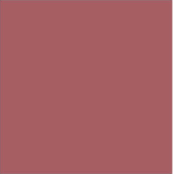 Produktbild Artdeco Perfect Color (817 Dose of Rose)