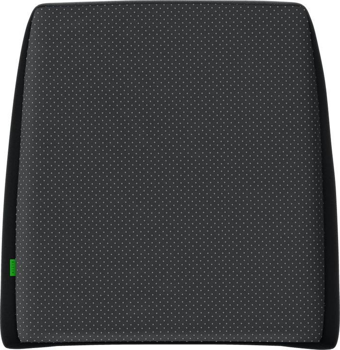 Image du produit Razer Coussin lombaire
