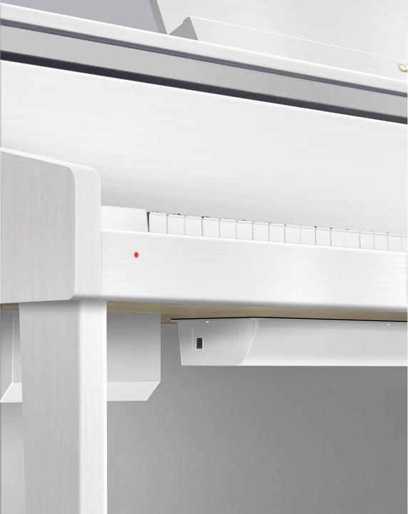 Image du produit Casio Piano électrique CELVIANO Grand Hybrid GP-310WE Blanc (88 Boutons)