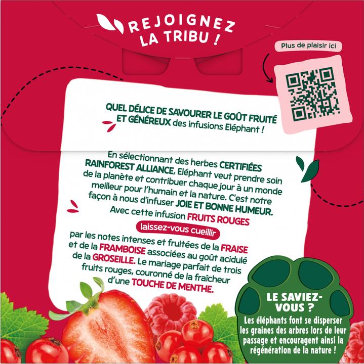 Produktbild Elephant Infusion Fruit Rouges (48 g)