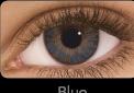 Actual product image Freshlook One Day Colour (Blue)