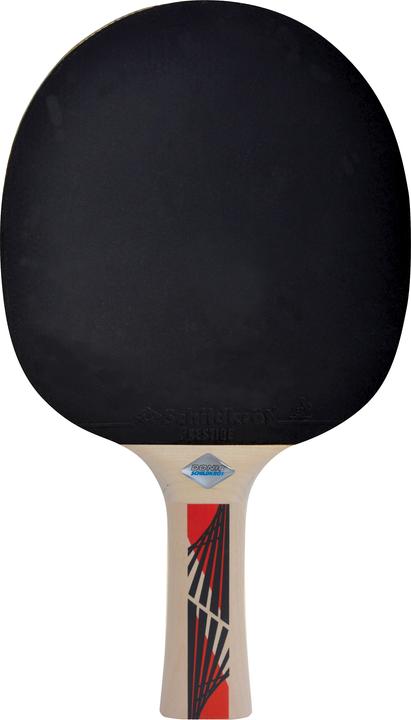 Image du produit Donic Schildkröt Legends 600