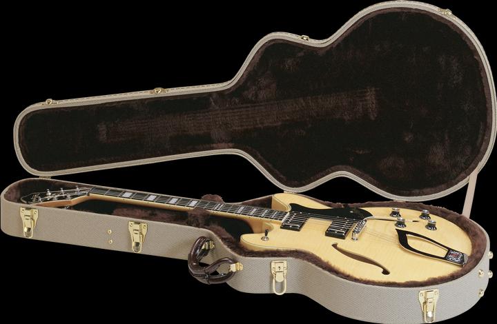 Image du produit Hagstrom Mallette, forme, pour HL500 et Akustiks (o. Mora)