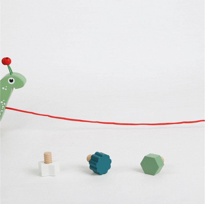 Actual product image small foot snail