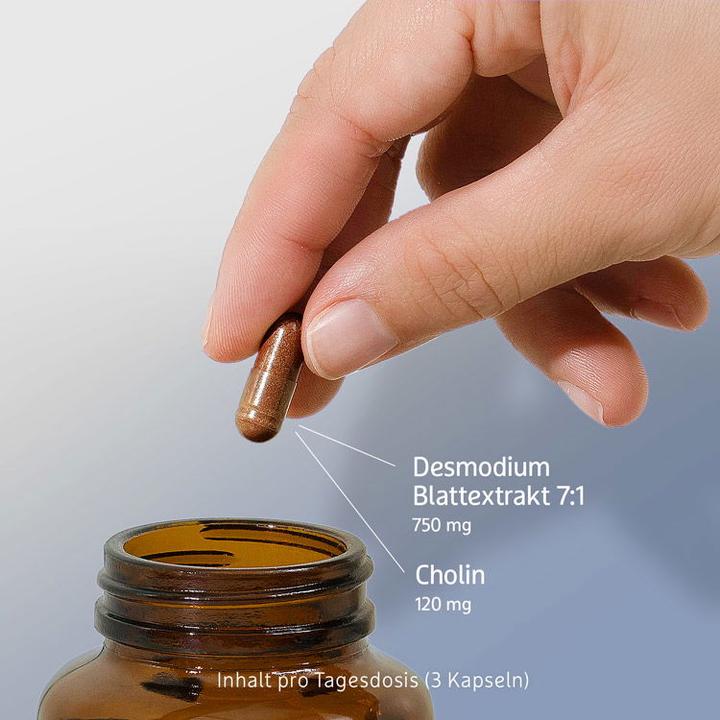 Actual product image Effective Nature Desmodium-Extrakt (90 Piece, Capsules, 90 g)