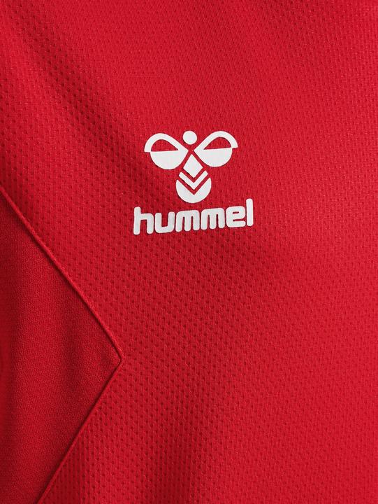 Actual product image hummel Hmlauthentic Pl Hoodie Kids (152)