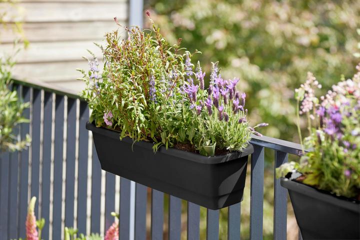 Actual product image Elho Noa balcony box (20 cm)