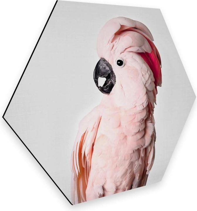 Image du produit Trenddeko Cacatoès rose (35 x 30 cm)