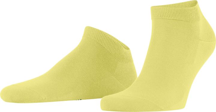 Actual product image Falke ClimaWool Herren (43 - 44)